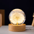 Luminous 3D Dandelion Crystal Ball  with Beech Wood Stand Base
