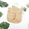Straw Casual Beach Straw Bag